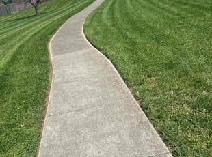 Karen G.'s turf maintenance service result