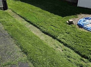 Heidi W.'s grass cutting service result