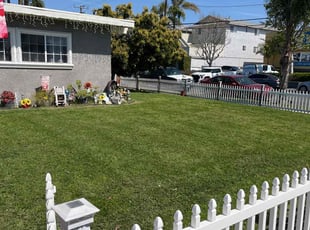 Katie W.'s turf maintenance service result