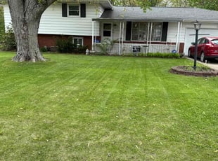 Dorothy B.'s turf care service result