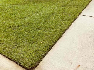 Ryan G.'s turf maintenance service result