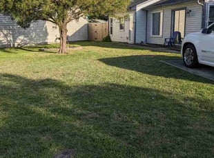 Kenneth F.'s lawn care services service result