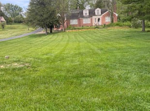 Khysha M.'s lawn care service result