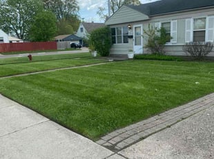 Bob F.'s lawn service service result