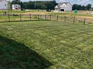 Gineen J.'s lawn service service result