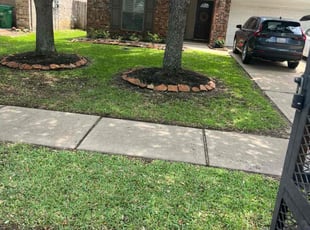 Dan M.'s grass maintenance service result