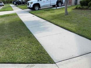 Nicholas G.'s lawn care service result