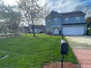 Diane M.'s turf care service result