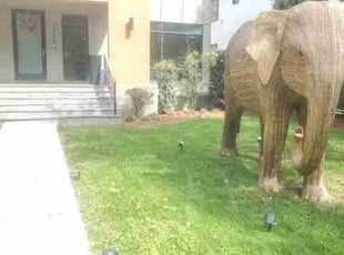 Jessica B.'s lawn maintenance service result