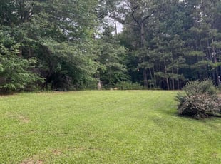 Kirk F.'s turf maintenance service result