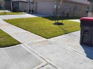 Denise S.'s grass maintenance service result