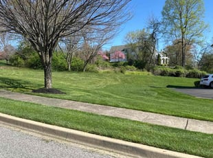 Aaron D.'s grass cutting service result