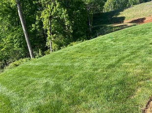 Kevin M.'s lawn maintenance service result