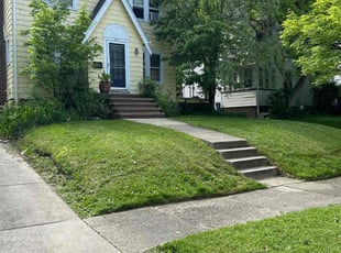 Vanessa F.'s lawn service service result