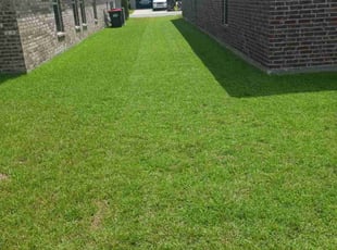 Dejuan L.'s grass cutting service result
