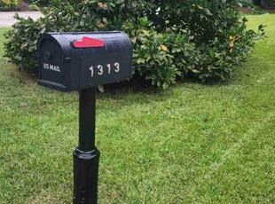 Dennis R.'s lawn maintenance service result