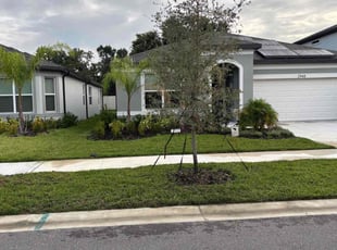 Amanda L.'s turf maintenance service result