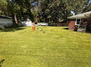 Shari C.'s turf care service result