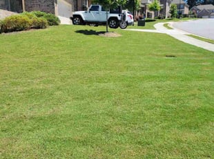 Albert C.'s turf maintenance service result