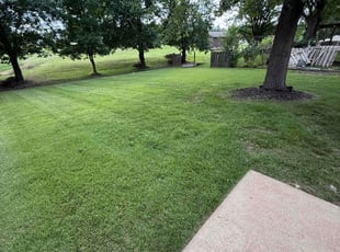 Michael P.'s grass cutting service result