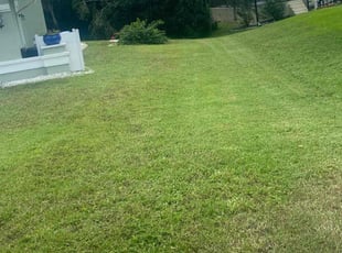 Wendy W.'s turf care service result