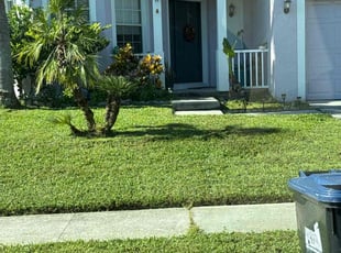 Mackayla s.'s lawn care service result
