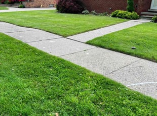 Shema K.'s turf care service result