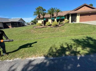 Andres S.'s grass maintenance service result