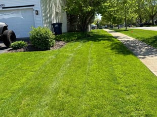 Jeffrey J.'s grass cutting service result