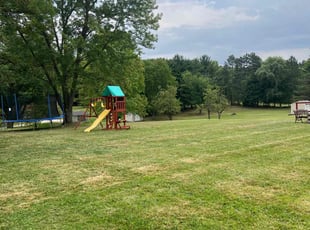 Teresa E.'s turf care service result