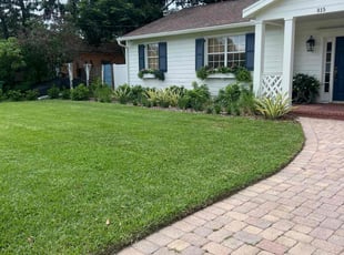 Dorian B.'s lawn care services service result