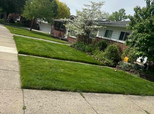 Michael A.'s Cleanups service result