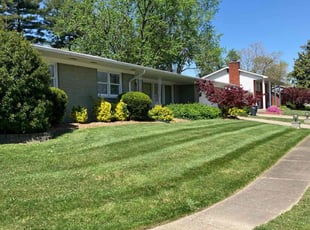 Edward A.'s lawn service service result