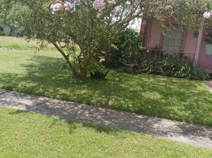 Ariel F.'s lawn maintenance service result