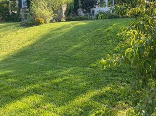 John S.'s grass maintenance service result