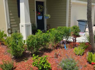Nicholas D.'s Bush Trimming service result
