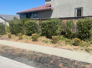 Melissa S.'s Bush Trimming service result