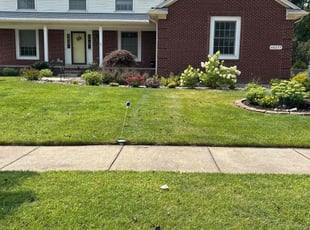 Dinah D.'s turf maintenance service result