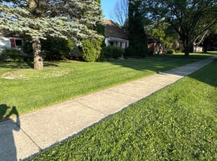 Erica W.'s turf maintenance service result