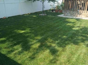 Christopher S.'s lawn care services service result