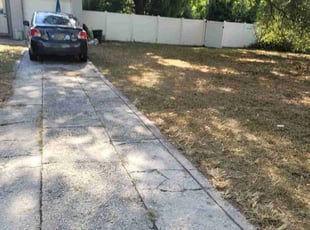 Injeong J.'s grass maintenance service result