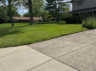 CAROLE A.'s grass cutting service result