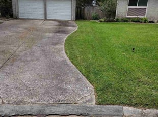 Amber P.'s lawn care service result