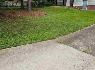 Sandra H.'s lawn service service result