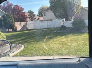 Robert D.'s turf maintenance service result