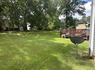 Michael K.'s Leaf Removal service result