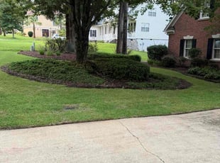 Robert K.'s Flower Bed Weeding service result