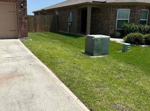 Daveina G.'s grass cutting service result