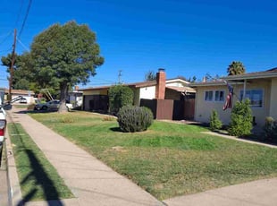 Frank T.'s lawn service service result