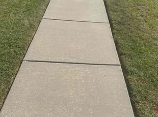 Miranda S.'s lawn care services service result